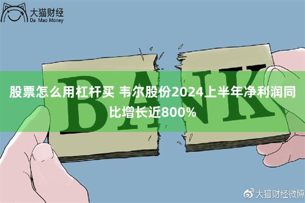 股票怎么用杠杆买 韦尔股份2024上半年净利润同比增长近800%