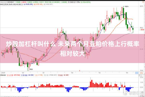 炒股加杠杆叫什么 未来两个月豆粕价格上行概率相对较大