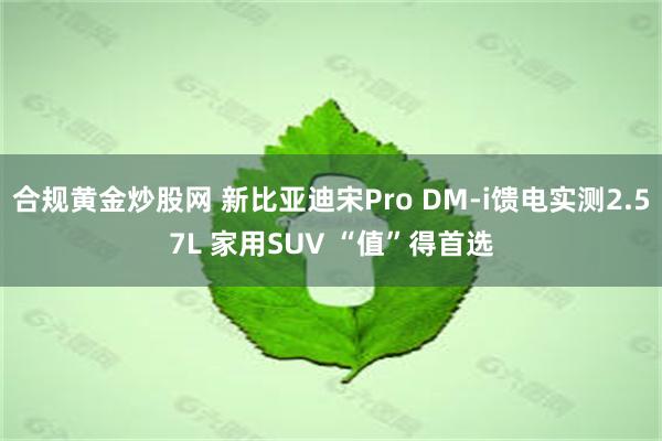 合规黄金炒股网 新比亚迪宋Pro DM-i馈电实测2.57L 家用SUV “值”得首选