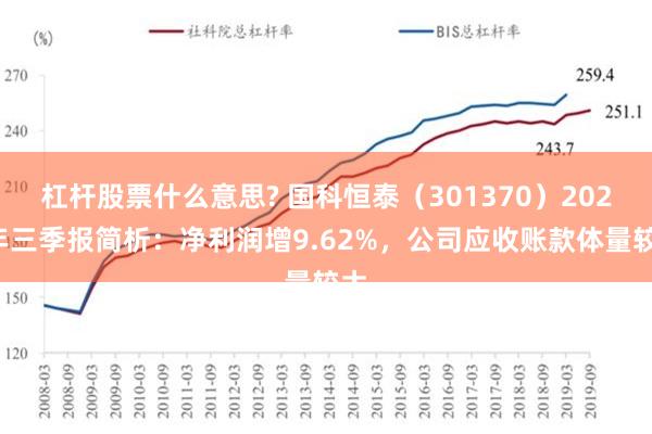 杠杆股票什么意思? 国科恒泰（301370）2024年三季报简析：净利润增9.62%，公司应收账款体量较大