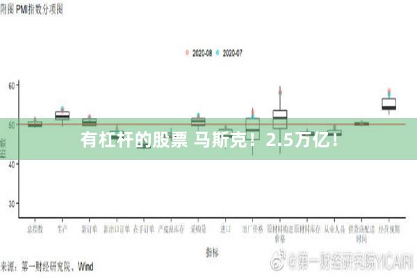 有杠杆的股票 马斯克！2.5万亿！